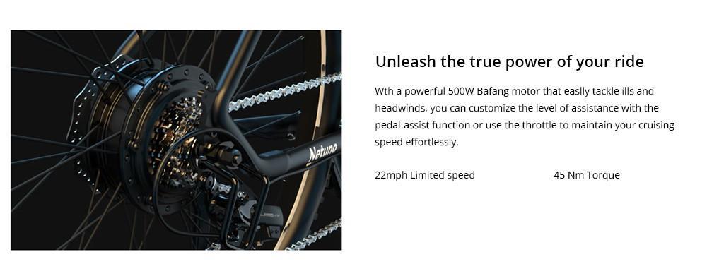 ESKUTE Netuno Plus Electric Bike MTB, 250W Motor, 48V 14.5Ah Battery,45Nm Torque Sensor,27.5*2.1 Tire - Blue