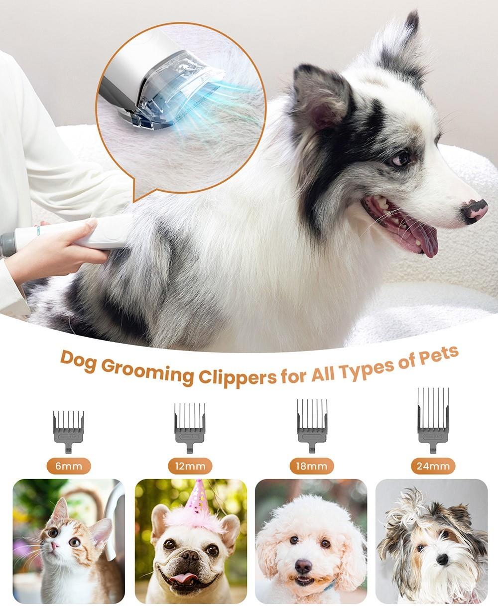 INSE P20 Hundeschermaschine mit Staubsauger für Tierhaare mit 5 bewährten Pflegewerkzeugen