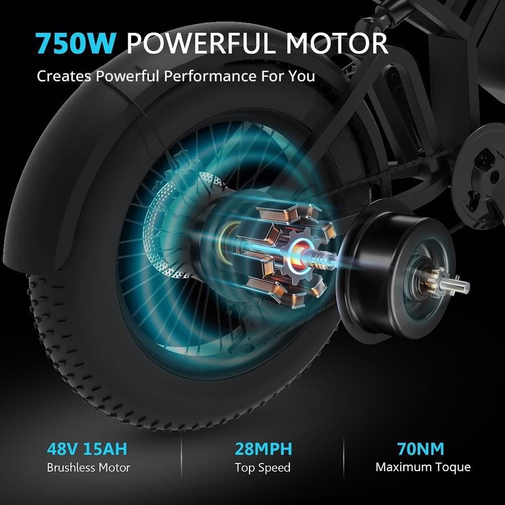 EUENI FXH009 20 inch Tire Electric Bike, 750W Motor, 45km/h, 15Ah Battery, 96km - Black