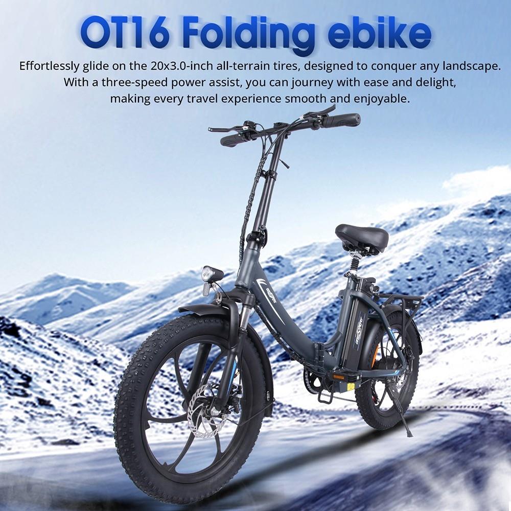 ONESPORT OT16 20*3.0 inch Tires Electric Bike, 350W Motor, 48V 15Ah Battery, 25km/h Max Speed, Disc Brakes - Grey