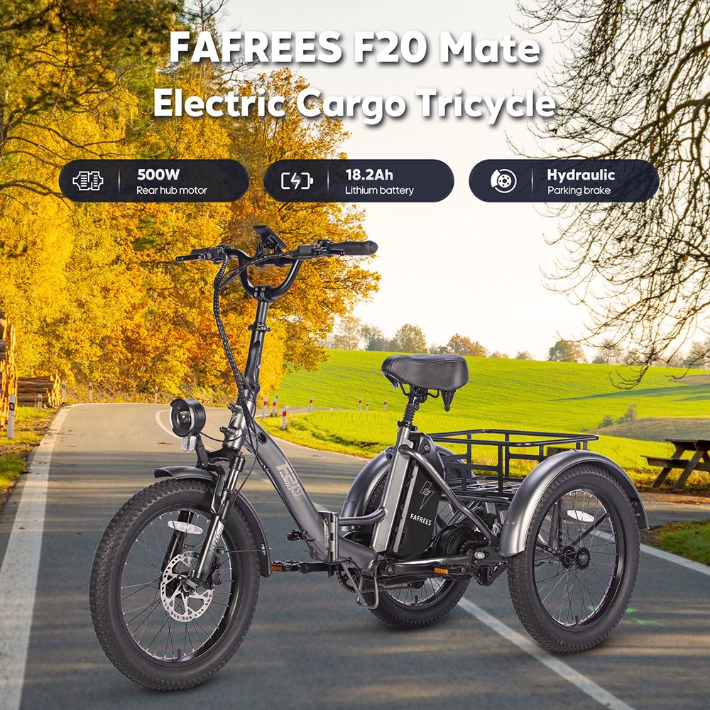 FAFREES F20 Mate Elektrische Driewieler Cargo, 500W Brushless Motor, 48V/18.2Ah Batterij, 20*3.0-inch Vette Banden - Blauw