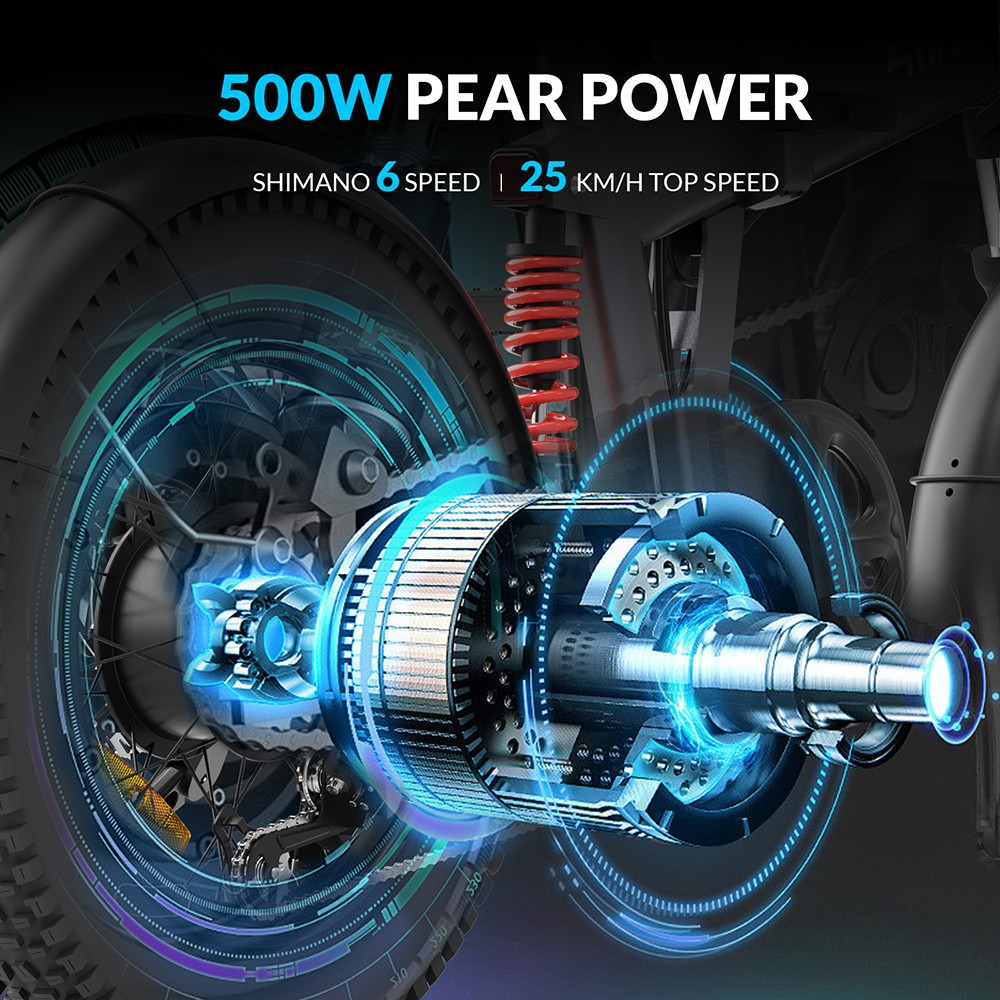 5TH WHEEL Thunder 1FT Elektrische Fiets, 250W Motor, 48V 10.4Ah Batterij, 20*4-inch Banden, 25km/h Maximale Snelheid