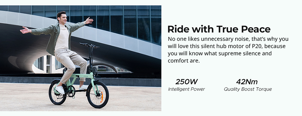 ENGWE P20 Foldable Electric Bike, 250W Silent Motor Torque Sensor, 36V 9.6A Battery, 20*1.95 Tires - Black