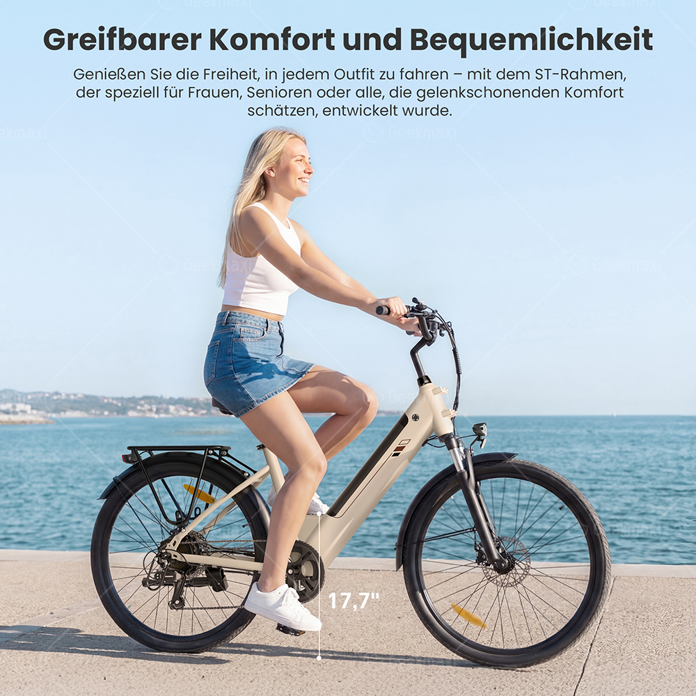 Touroll J2 ST Elektrofahrrad, 250W Motor, 36V 15,6Ah Akku, Doppelfedergabel vorne, 100 km Reichweite – Grau