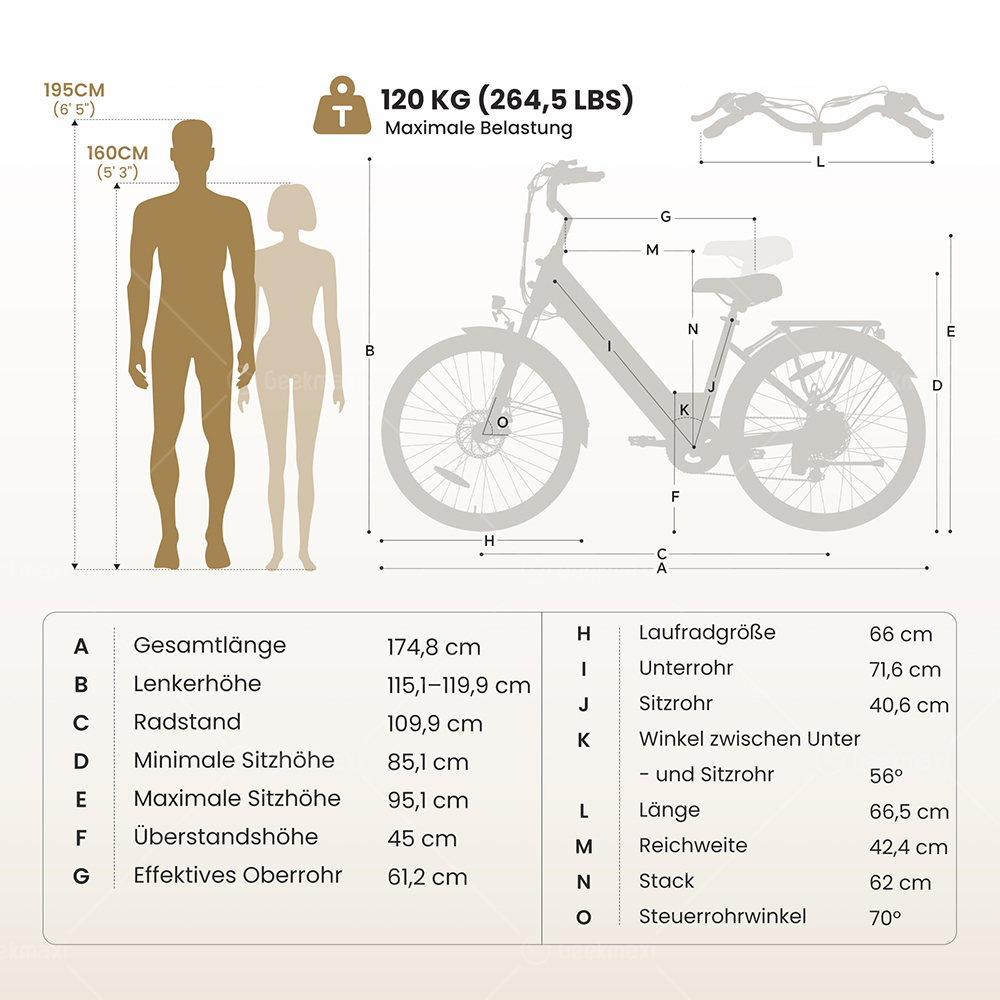 Touroll J2 ST Elektrofahrrad, 250W Motor, 36V 15,6Ah Akku, Doppelfedergabel vorne, 100 km Reichweite – Grau