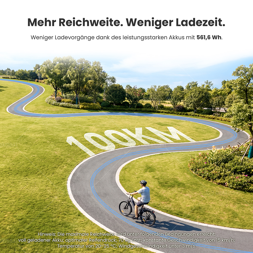 Touroll J2 ST Elektrofahrrad, 250W Motor, 36V 15,6Ah Akku, Doppelfedergabel vorne, 100 km Reichweite – Grau