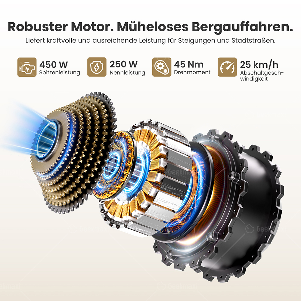 Touroll J2 ST Elektrofahrrad, 250W Motor, 36V 15,6Ah Akku, Doppelfedergabel vorne, 100 km Reichweite – Grau