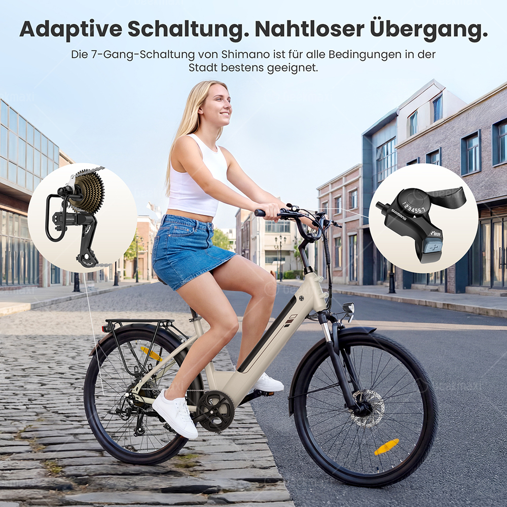 Touroll J2 ST Elektrofahrrad, 250W Motor, 36V 15,6Ah Akku, Doppelfedergabel vorne, 100 km Reichweite – Grau