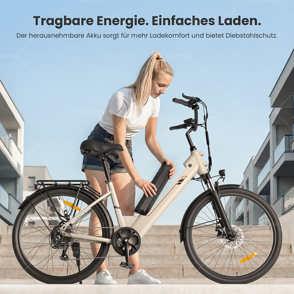 Touroll J2 ST Elektrofahrrad, 250W Motor, 36V 15,6Ah Akku, Doppelfedergabel vorne, 100 km Reichweite – Grau