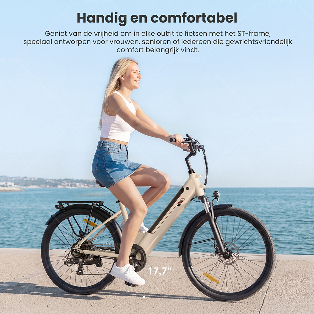 Touroll J2 ST elektrische fiets, 250 W motor, 36 V 15,6 Ah accu, dubbele voorvorkvering, actieradius van 100 km - Grijs