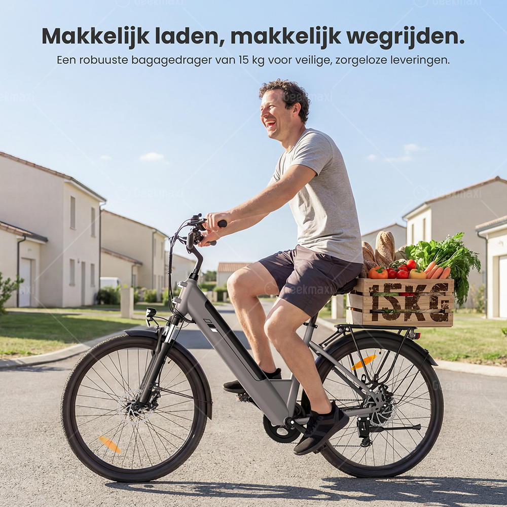 Touroll J2 ST elektrische fiets, 250 W motor, 36 V 15,6 Ah accu, dubbele voorvorkvering, actieradius van 100 km - Grijs