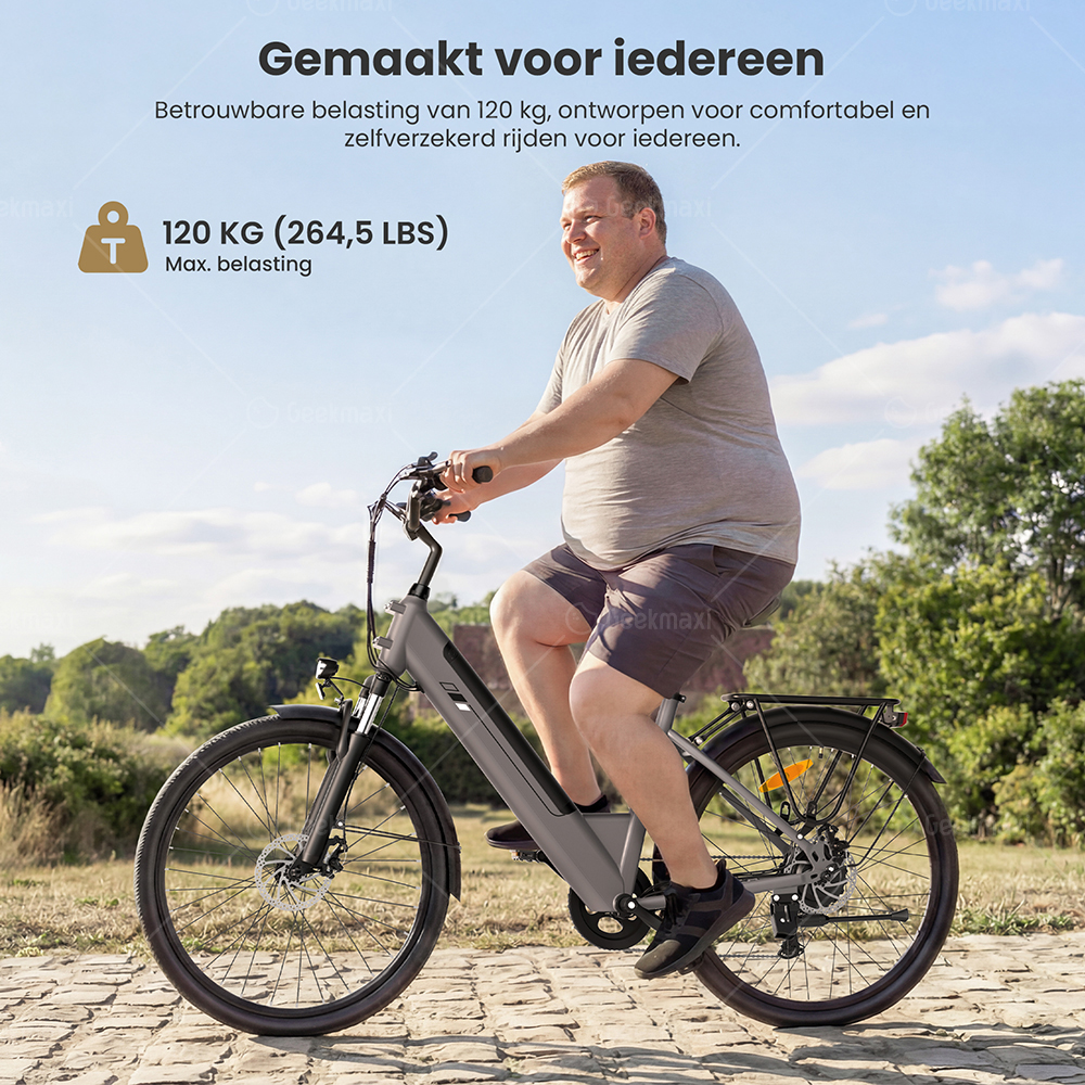 Touroll J2 ST elektrische fiets, 250 W motor, 36 V 15,6 Ah accu, dubbele voorvorkvering, actieradius van 100 km - Grijs