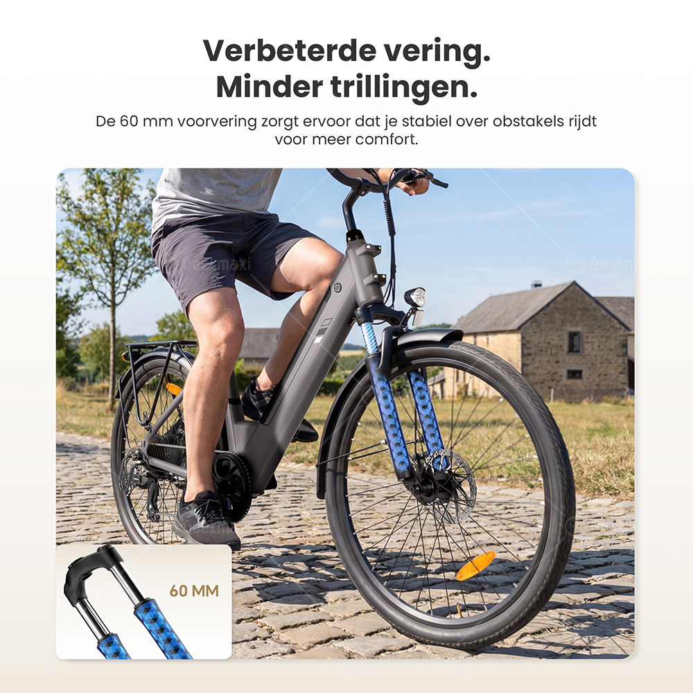 Touroll J2 ST elektrische fiets, 250 W motor, 36 V 15,6 Ah accu, dubbele voorvorkvering, actieradius van 100 km - Grijs