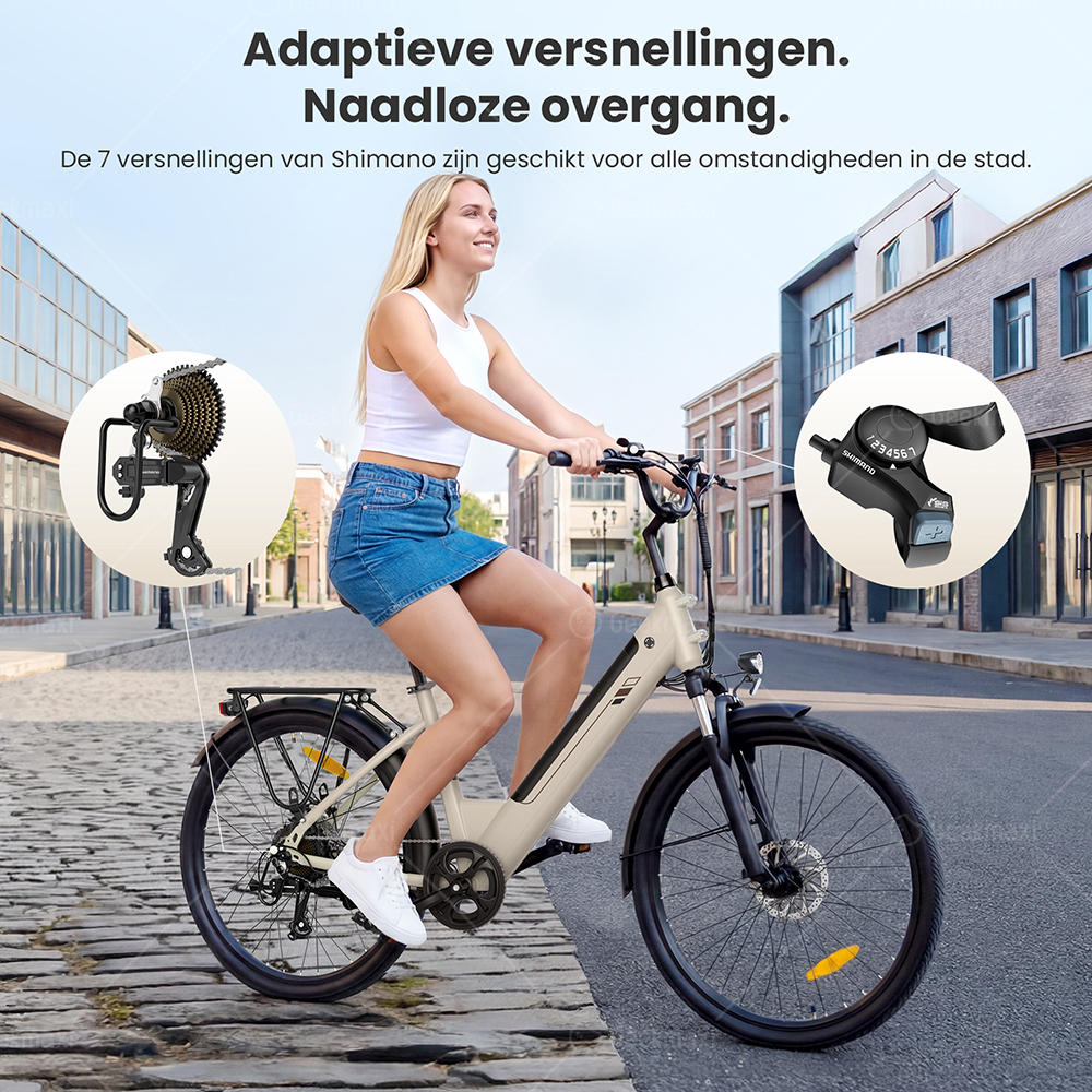 Touroll J2 ST elektrische fiets, 250 W motor, 36 V 15,6 Ah accu, dubbele voorvorkvering, actieradius van 100 km - Grijs