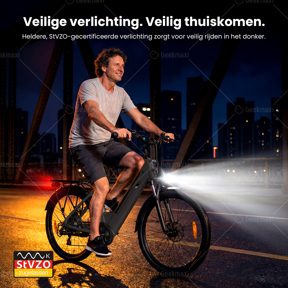Touroll J2 ST elektrische fiets, 250 W motor, 36 V 15,6 Ah accu, dubbele voorvorkvering, actieradius van 100 km - Grijs