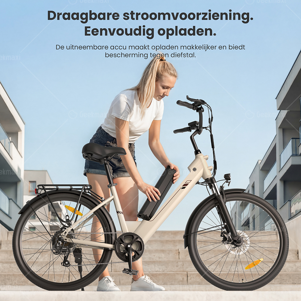Touroll J2 ST elektrische fiets, 250 W motor, 36 V 15,6 Ah accu, dubbele voorvorkvering, actieradius van 100 km - Grijs
