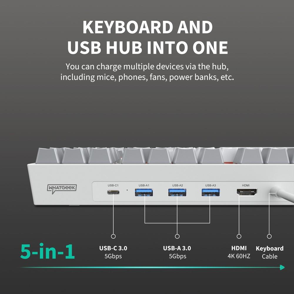 3inuS 87-Key 5-in-1 Mechanical Keyboard, Hub Dual USB-C Cable, Hot-Swappable - Blue Switches