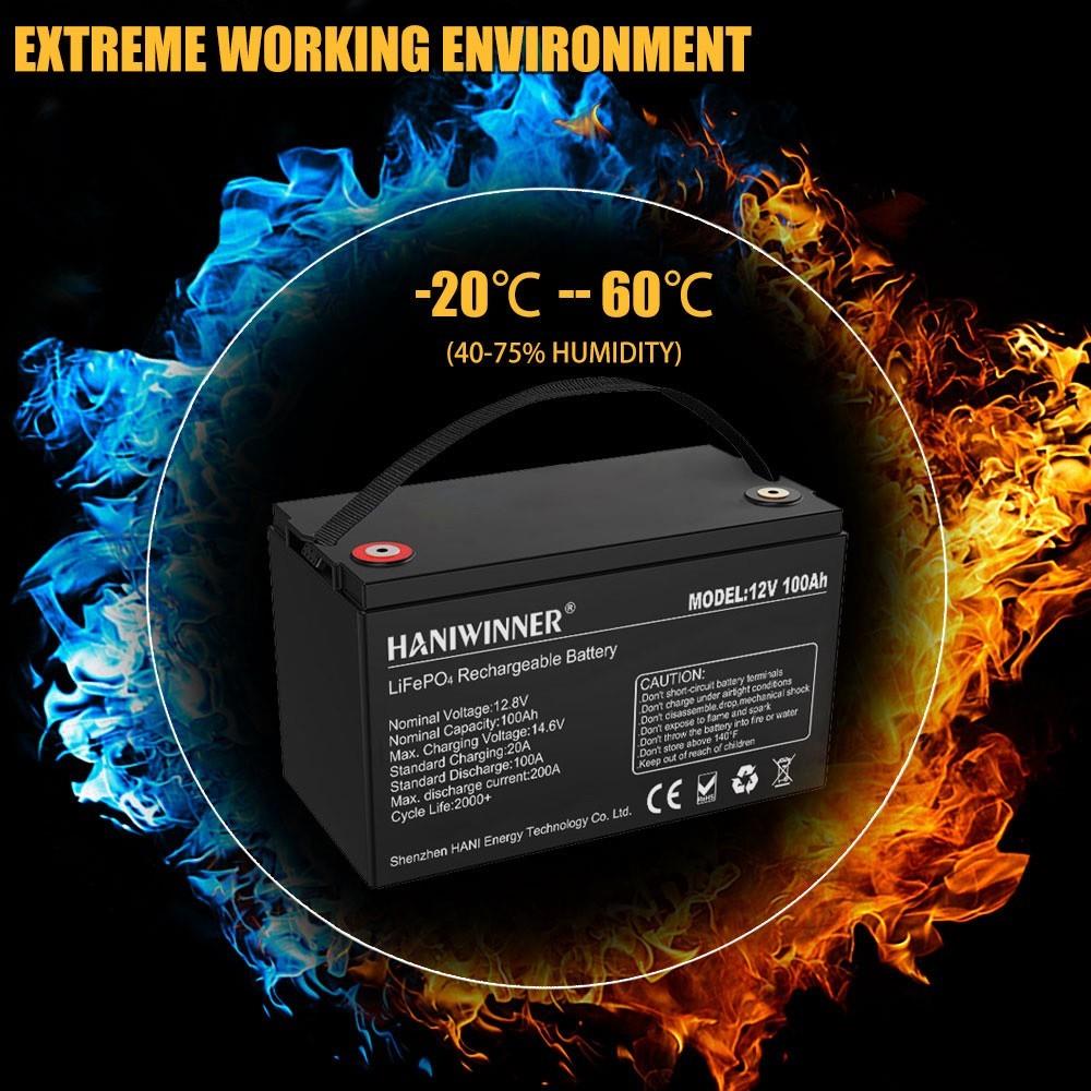 HANIWINNER HD009-10 12.8V 100Ah LiFePO4 Lithium Battery Pack Backup Power, 1280Wh Energy, 2000 Cycles, Built-in BMS