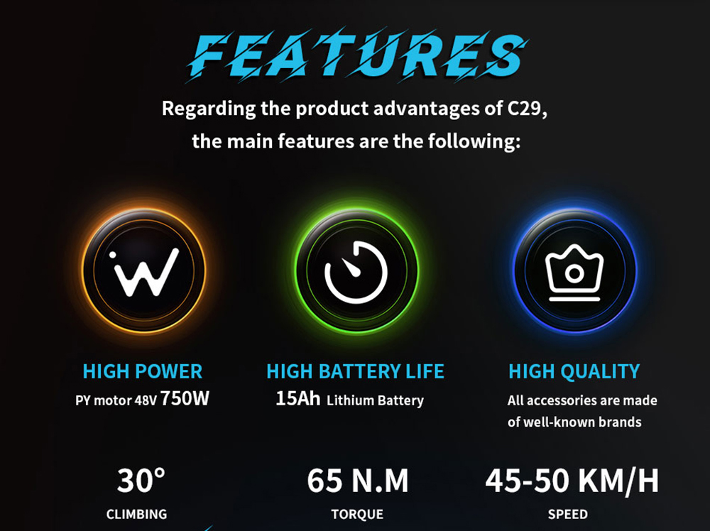 DUOTTS C29 Elektrische Fiets met Achterrek, 750W, 48V 15Ah Batterij, 50km Bereik, 50km/h Maximale Snelheid