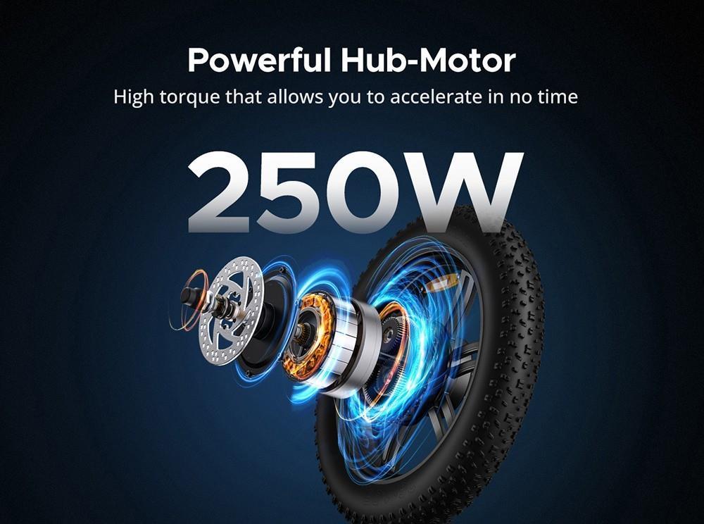 ENGWE L20 20*4.0 Inch Mountain Tire Electric Bike, 250W Motor, 25km/h Max Speed, 48V 13Ah Battery - Black