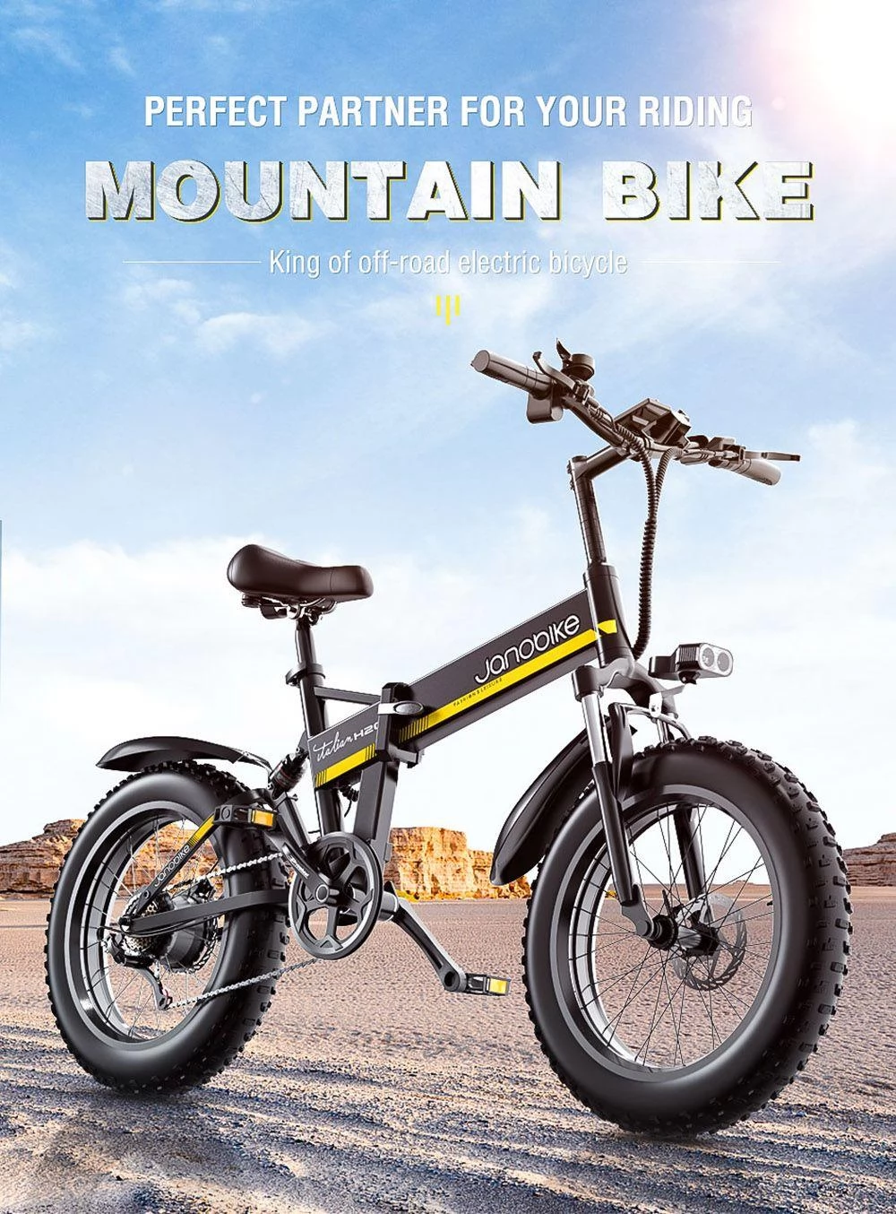 JANOBIKE H20 Electric Bike 20*4 Inch Tire - 48V 1000W Brushless 