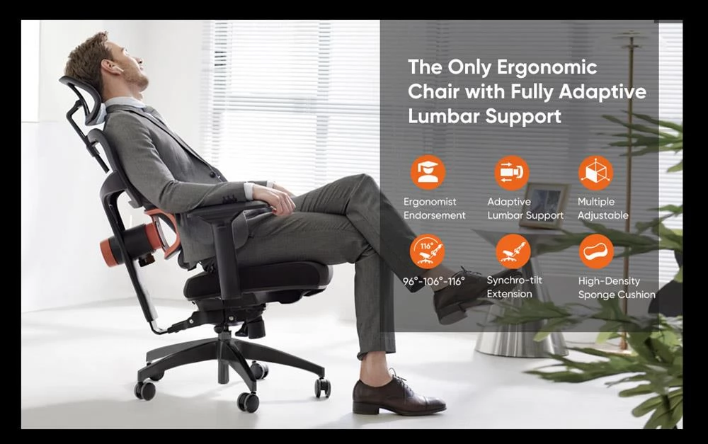 NEWTRAL Ergonomic Office Chair High Back Computer Chair Tiltable Lumbar  Support
