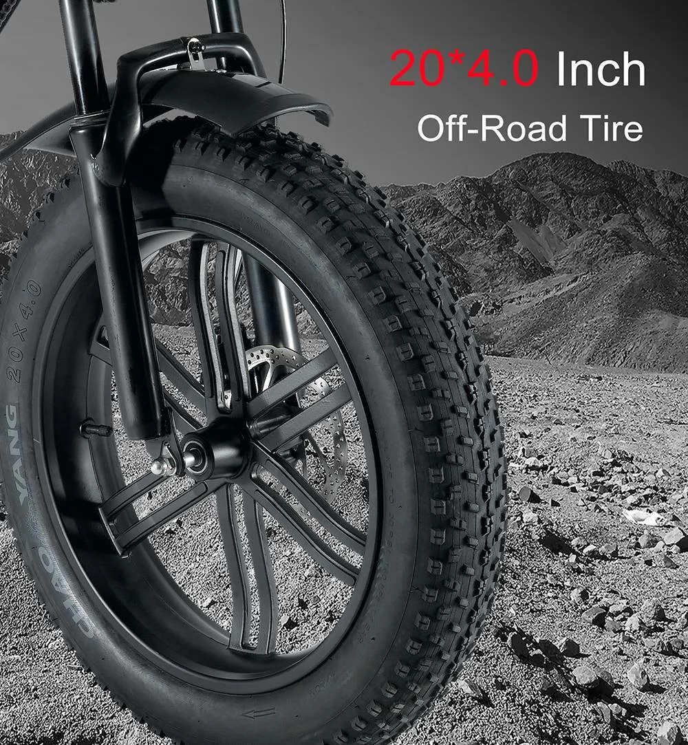 OUXI V8 20 Inch Fat Tires Retro Elektrische fiets - 48V 15Ah Lithium batterij & 750W motor