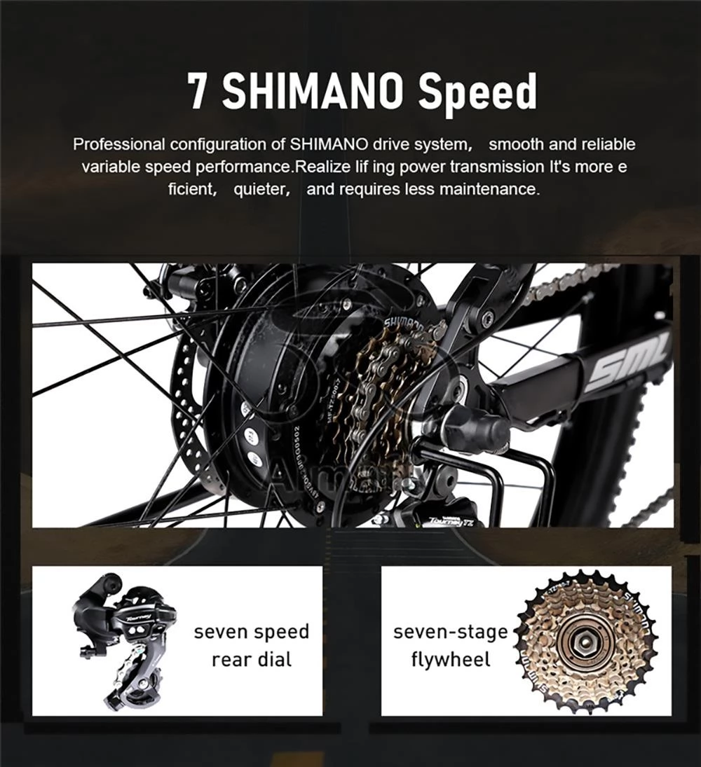 PHILODO H4 20 Inch Fat Tire opvouwbare elektrische fiets Cargo elektrische fiets - 48V 13Ah verwijderbare batterij & 250W Motor