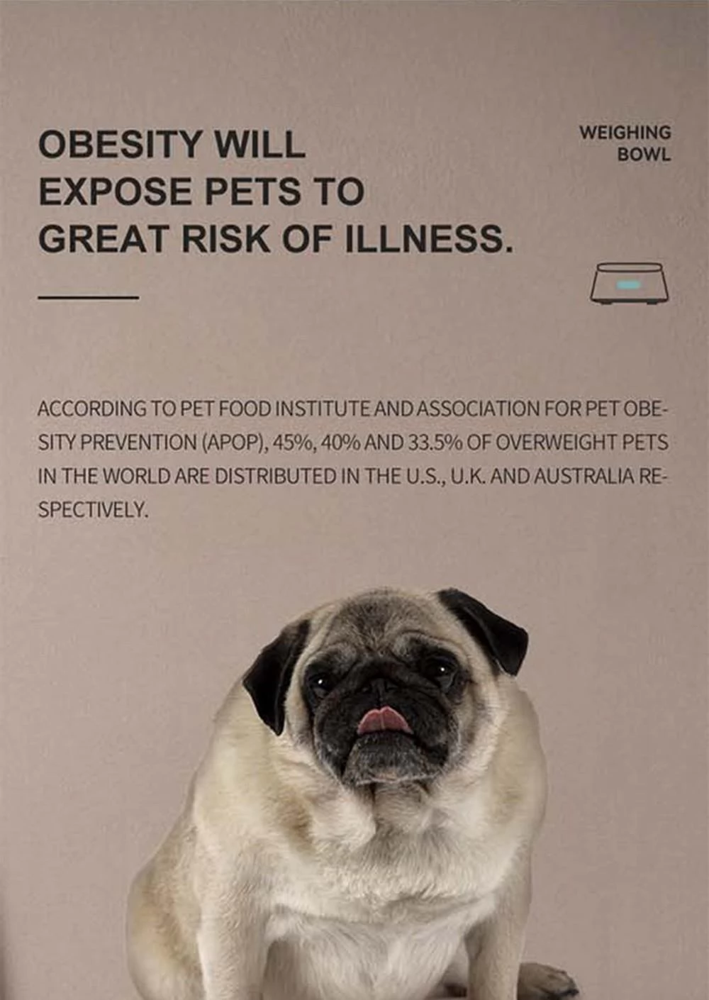Pawbby Smart Pet Food Feeder Mit 4 Wiegeeinheiten, Edelstahl 304, App-Basierter Fressrekord Für Hund Und Katze