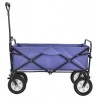 Collapsible Foldable Hand Cart With Wide Brake Wheels