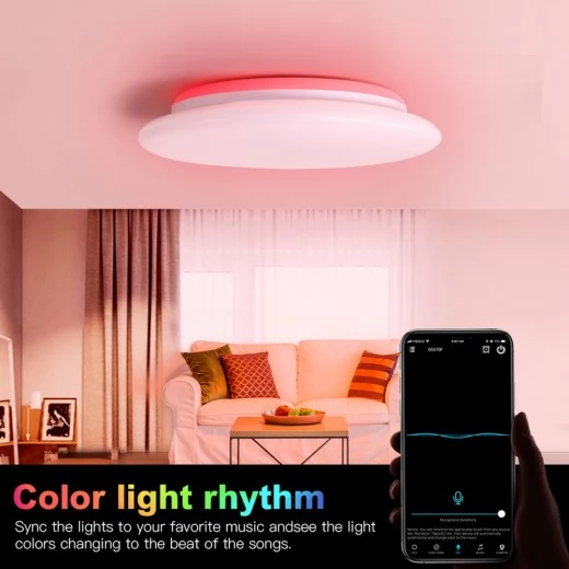 OFFDARKS LXD-XG36 WIFI Smart  Ceiling Lamp - White