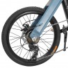 FIIDO D11 20" Tire Foldable Electric Moped Bike - 250W Brushless Motor & 11.6AH Lithium Battery