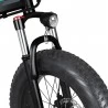 FIIDO M1 Pro  20" Fat Tire Foldable Electric Bike Max Speed 40 km/h Max Mileage 130 KM 500W Brushless Motor 48V 12.8Ah Battery