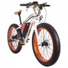 RICH BIT TOP-022 26*4.0”All-terrain Tires Electric Mountain Bike 2021 New Design - 1000W Motor & 48V 17Ah Battery