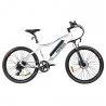 Fafrees F100 26 '' elektrische fiets - 350W Motor & 48v 11,6Ah Verwijderbare batterij