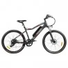 FAFREES F100 26'' Electric Bike - 350W Motor & 48V 11,6Ah Removable Battery