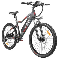 FAFREES F100 26'' Electric Bike - 350W Motor & 48V 11,6Ah Removable Battery
