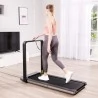 Kingsmith WalkingPad X21 Double Foldable Walking & Running Treadmill ( EU Version)