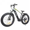 Bezior XF800 26*4.0” Tire Electric Bicycle Mountain E-Bike (500W Mid-drive Motor & 48V 13Ah Battery)