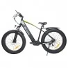 Bezior XF800 26*4.0” Tire Electric Bicycle Mountain E-Bike (500W Mid-drive Motor & 48V 13Ah Battery)