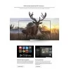 ZIDOO X9S Realtek RTD1295 Android 6.0 OpenWRT (NAS) TV Box