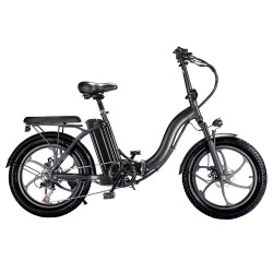 BK6 Elektrische fiets 48V 350W Motor 10AH Batterij Max Snelheid 25 km/u Max Kilometerstand 35 km