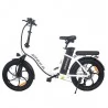 AVAKA BZ20 PLUS 20 * 3 Zoll Faltbares Elektrofahrrad mit bürstenloser 500W Motor und 48V 15Ah Batterie