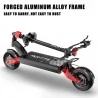 DUOTTS D10 10*2.25 Inch Off-road Tires Foldable Electric Scooter - 1600W*2 Dual Motor & 60V 20.8Ah Battery