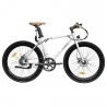 FAFREES F1 700C*28C Elektrofahrrad – 250W bürstenloser Motor & 36V 8,7Ah Akku