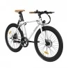 FAFREES F1 700C*28C Elektrofahrrad – 250W bürstenloser Motor & 36V 8,7Ah Akku