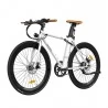 FAFREES F1 700C*28C Elektrofahrrad – 250W bürstenloser Motor & 36V 8,7Ah Akku