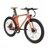 FAFREES F1 700C*28C Elektrofahrrad – 250W bürstenloser Motor & 36V 8,7Ah Akku