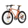 FAFREES F1 700C*28C Elektrofahrrad – 250W bürstenloser Motor & 36V 8,7Ah Akku