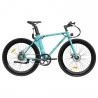 FAFREES F1 700C*28C Elektrofahrrad – 250W bürstenloser Motor & 36V 8,7Ah Akku